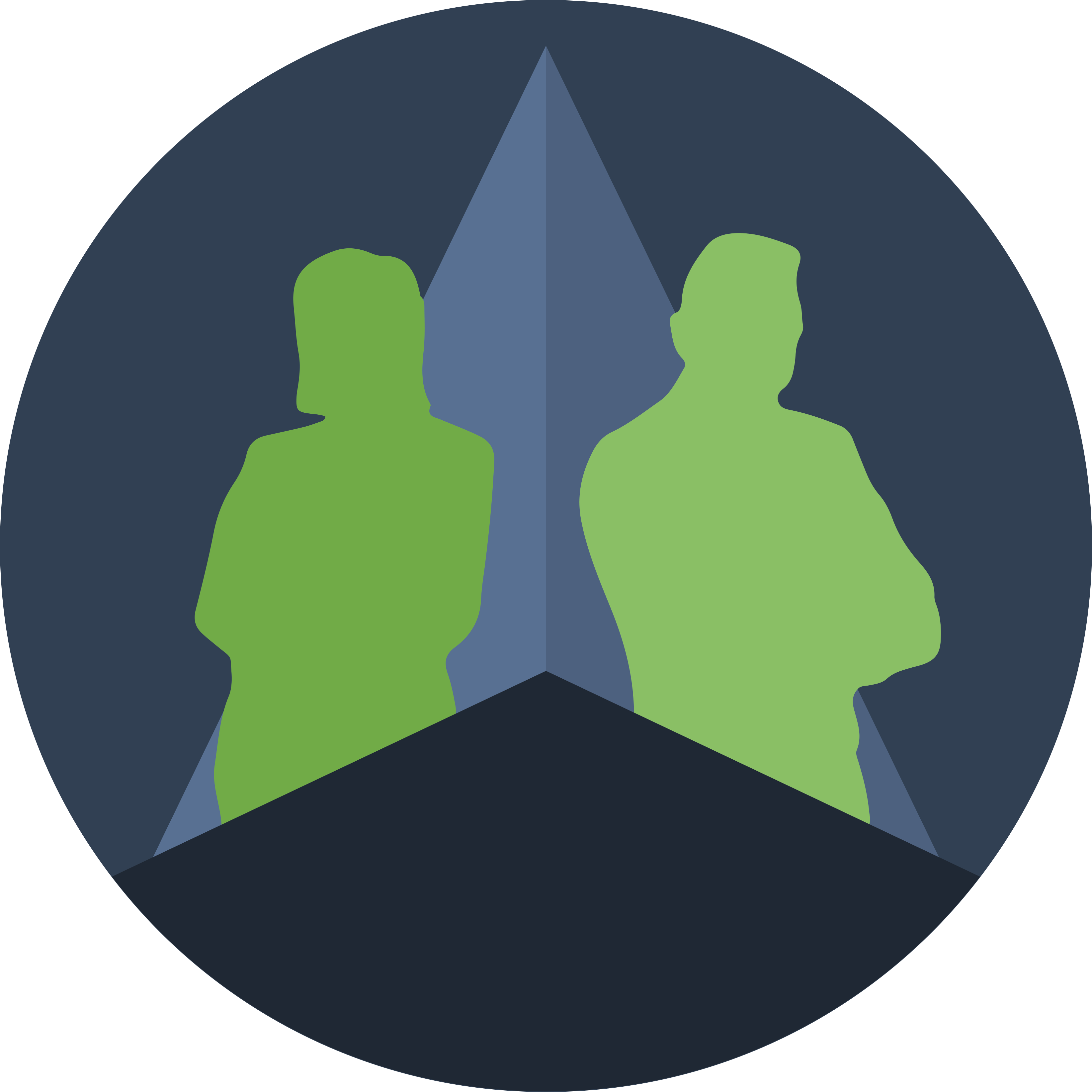 NearShoreHR Logo